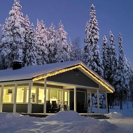 Arctic Tuomi