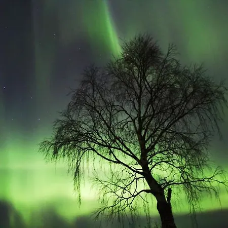 Villa Arctic Tuomi