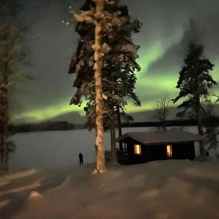 Arctic Tuomi